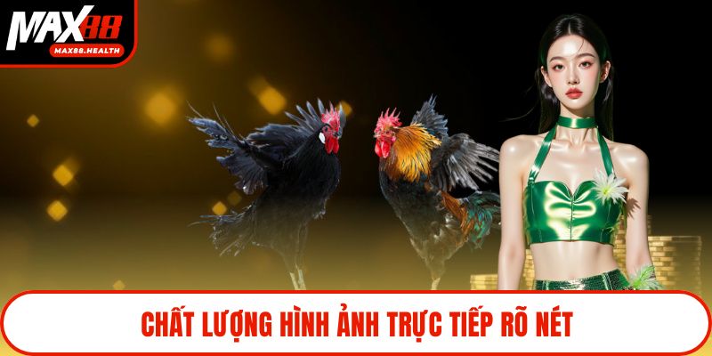 Chất lượng hình ảnh trực tiếp rõ nét