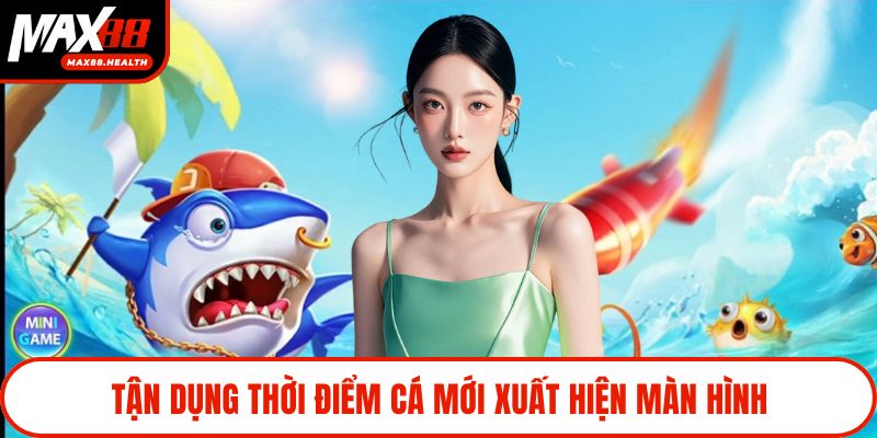 Tận dụng thời điểm cá mới xuất hiện màn hình