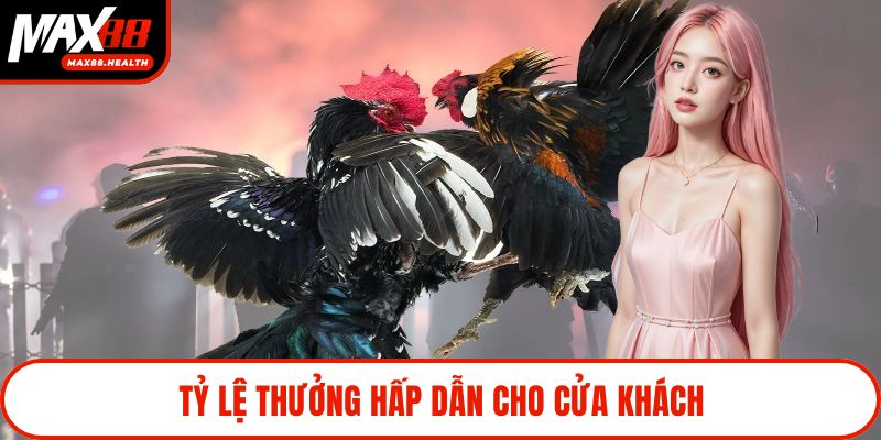Tỷ lệ thưởng hấp dẫn cho cửa khách